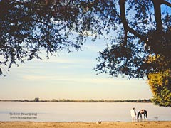 Fin d'après-midi au lac de Madarounfa