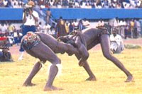 Lutte traditionnelle au Sénégal